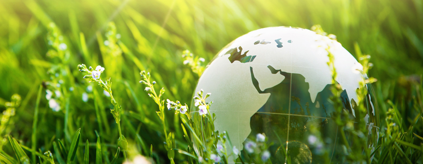 Förderung Heizung 2025